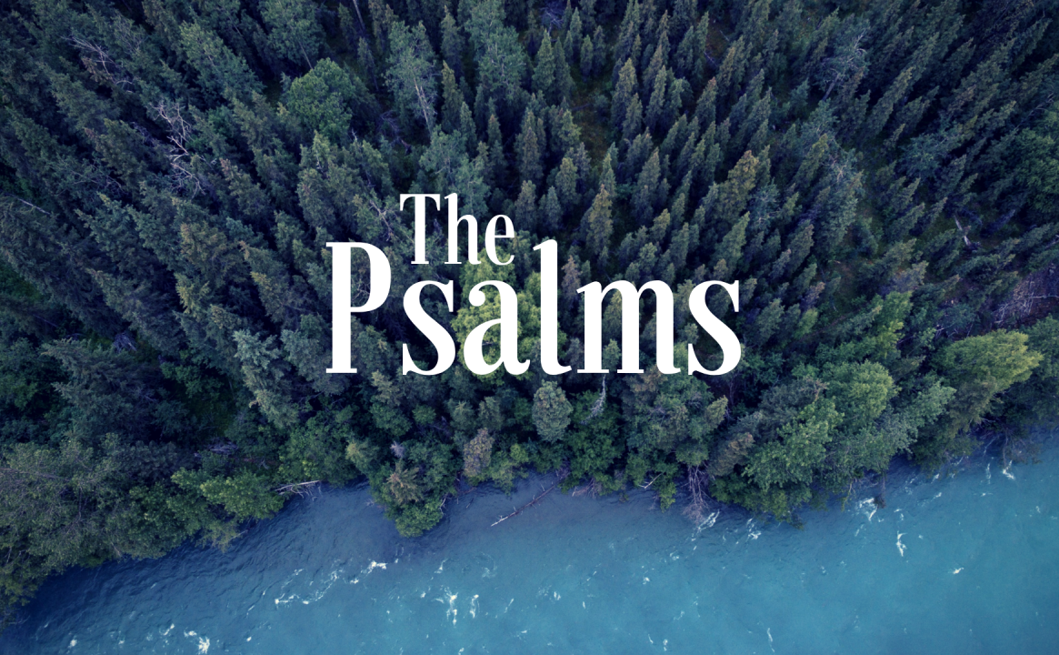 Come Confidently Psalm 5
